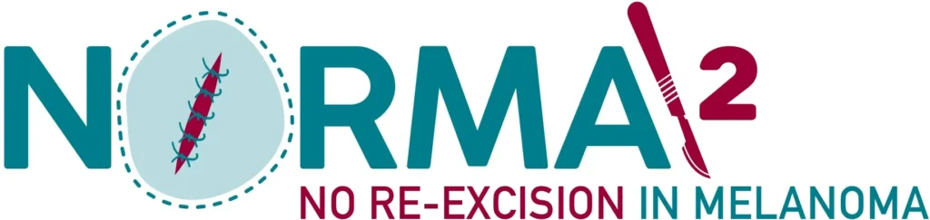 Norma 2