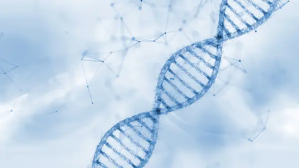 DNA dubbelhelix