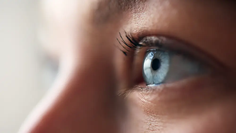 Oog