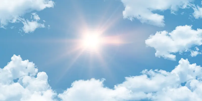 Zon